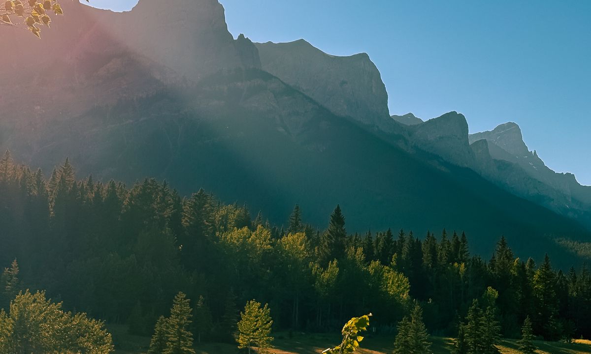 A peaceful mountain lake and tree-lined shore at sunrise